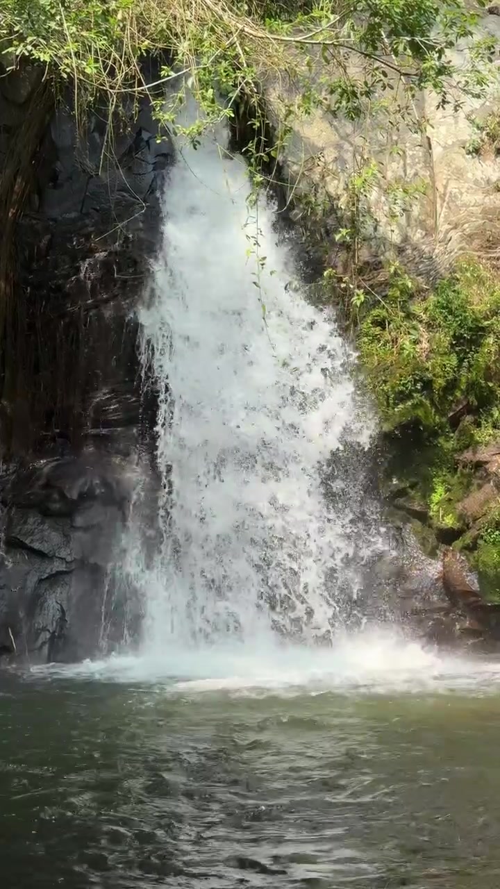 Piccola cascata che si getta in una pozza nella foresta