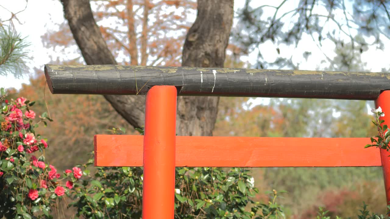 화창한 날 시드니 오번 정원에 있는 일본식 붉은 문