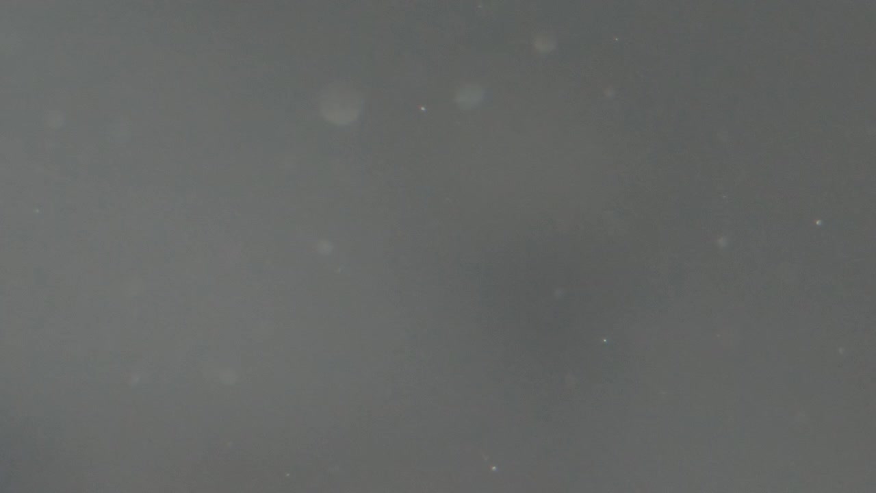 Particelle di bokeh di polvere reale luminose illuminate da luce naturale che fluttuano su sfondo scuro. Catturate con una cinepresa. Usa la modalità Schermo per il compositing di risorse VFX per creare la tua scena ProRes 4K.