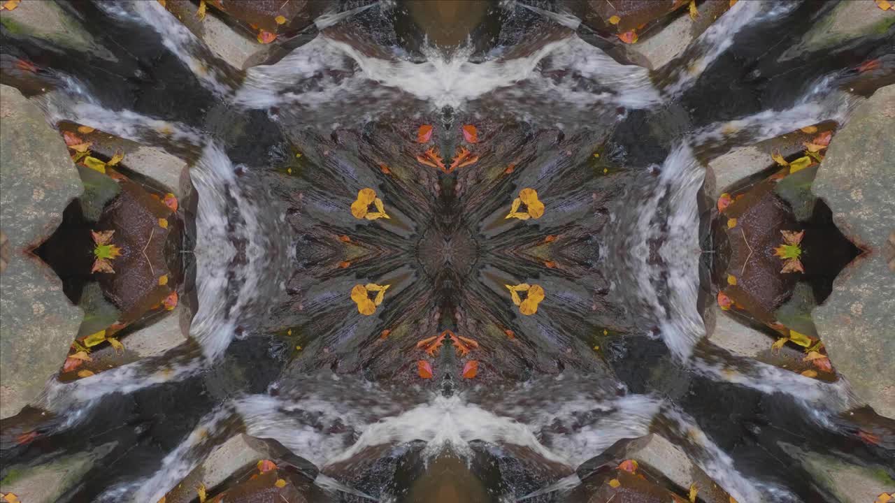 caleidoscopio de naturaleza, bucle, 60 fps, paisaje de wissahickon creek #45