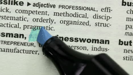 businesswoman highlighted in blue