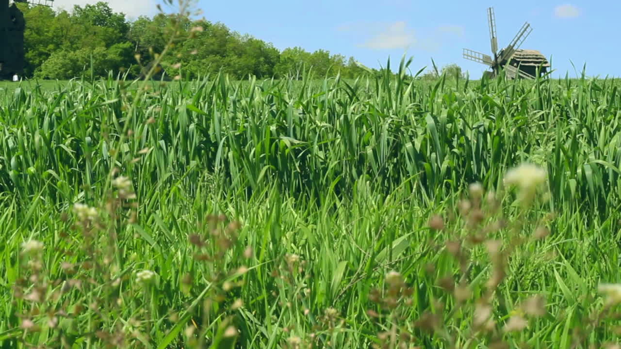 molino de viento histórico en el paisaje de campo de verano cerca de árboles verdes.