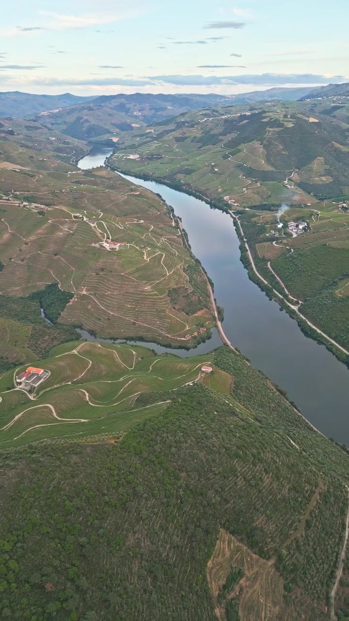 Veduta aerea che segue un fiume serpeggiante e colline terrazzate nel paesaggio rurale della Valle del Douro.