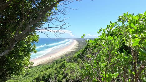 lush greenery framing a tranquil beach scene