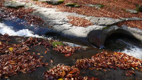 picturesque stream