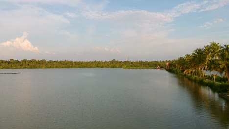 Piscifactoría-Del-Lago-Vembanad,toma-Aérea,líneas-De-árboles-De-Coco