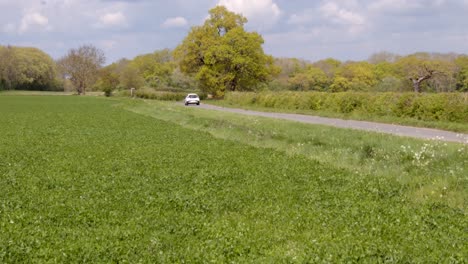 Englische-Eiche-Im-Feld-Mit-Vorbeifahrendem-Weißem-Auto