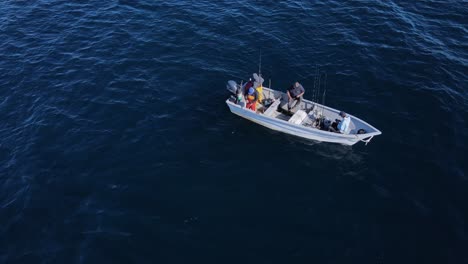 aerial perspective of angler hurriedly reeling and casting fishing poles in open ocean