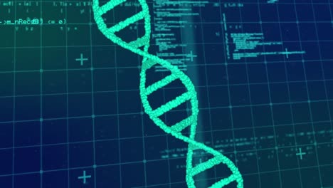 animación del procesamiento de datos sobre el hilado de cadenas de adn