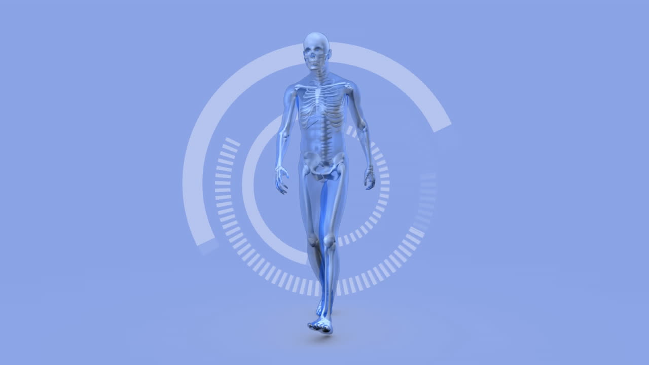 animación de escaneo de alcance con esqueleto humano en fondo lila