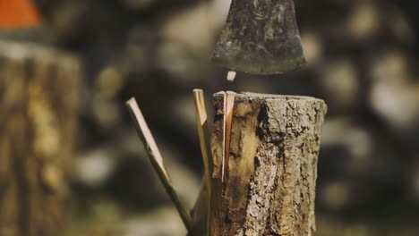 afternoon standing footage with successfully splitted results from the firewood cut scene with impacted axe at home