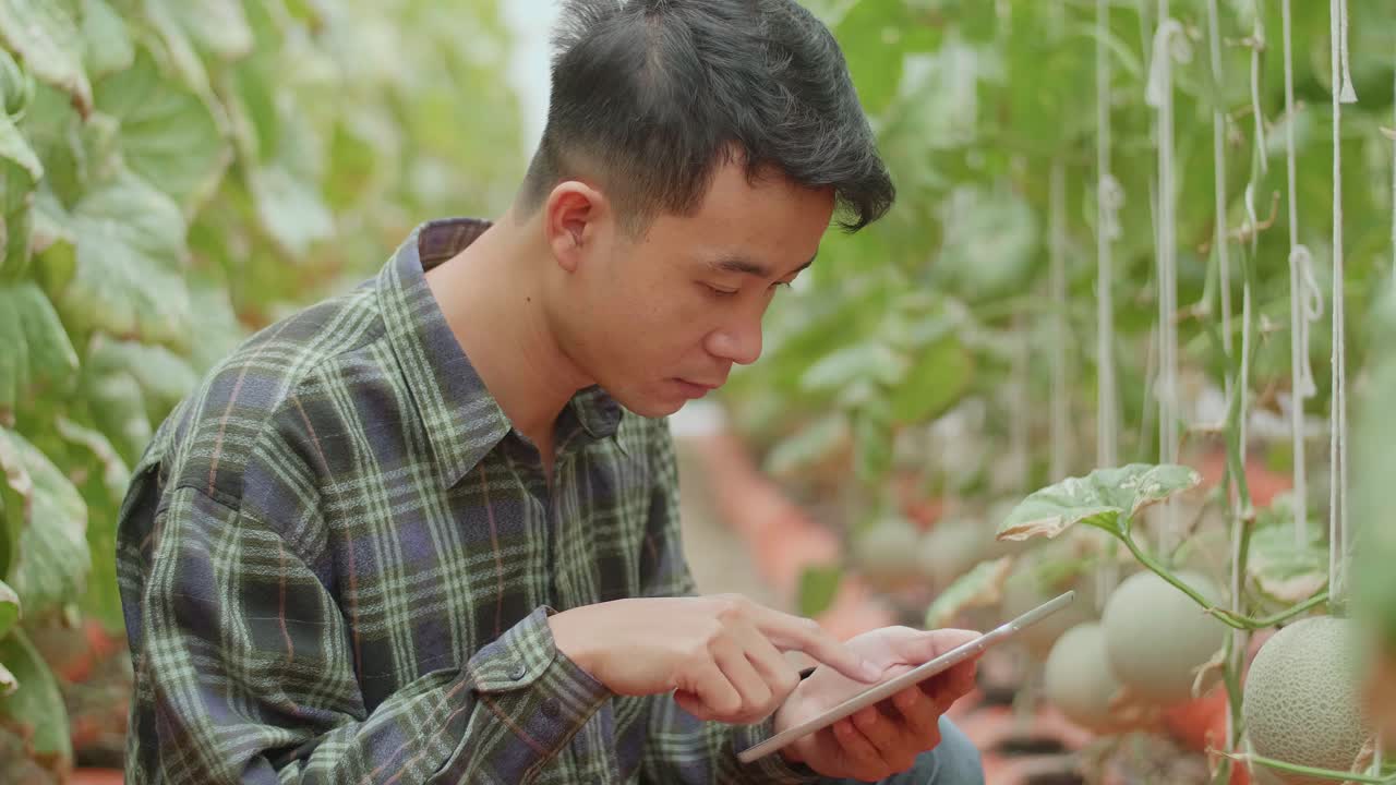 Smiling Asian Farmer Use Tablet And Thumb Up In Organic Farms. Agriculture Or Cultivation Concept