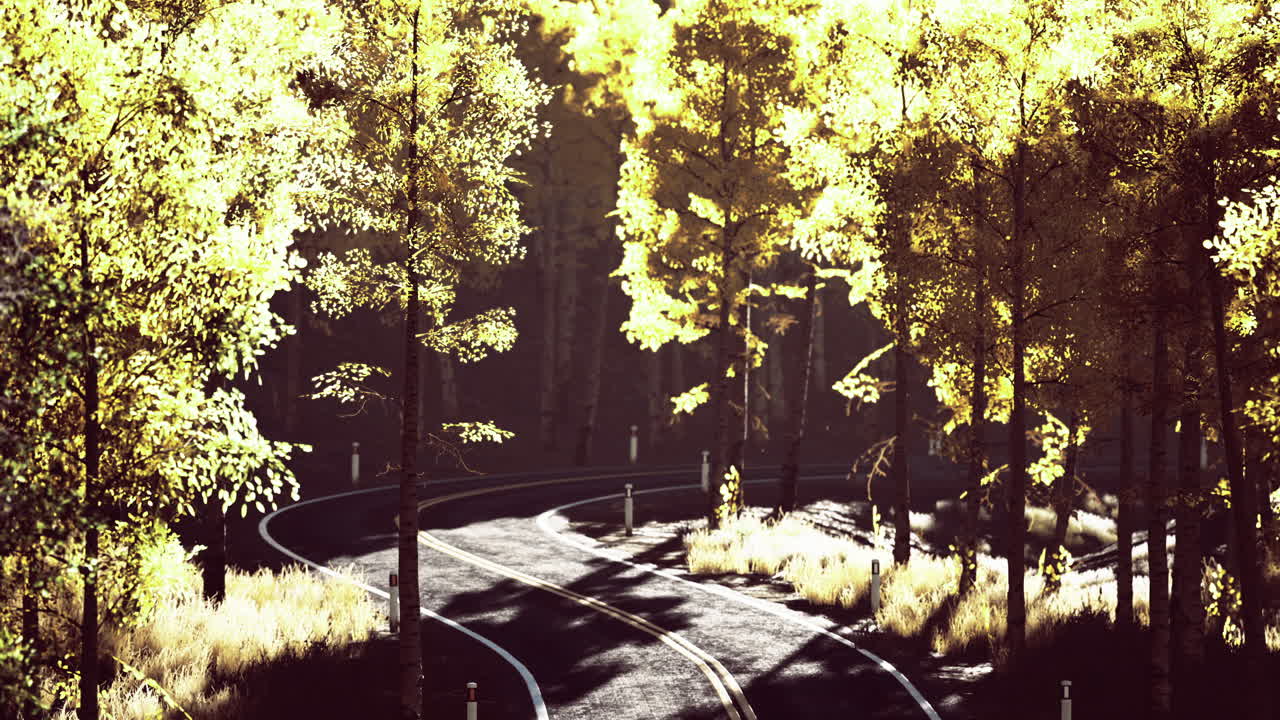 Winding road through sunlit forest in autumn season capturing natures beauty