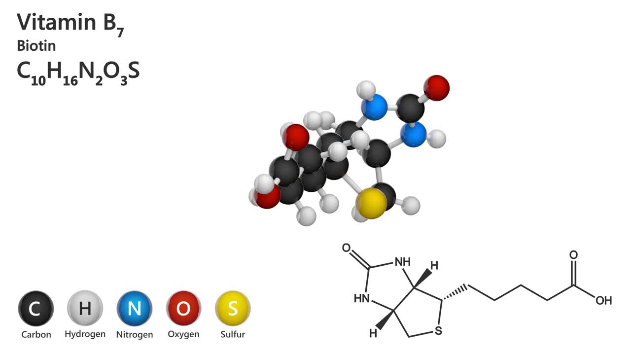 la vitamina b7 (biotina) tiene un ciclo sin costuras.