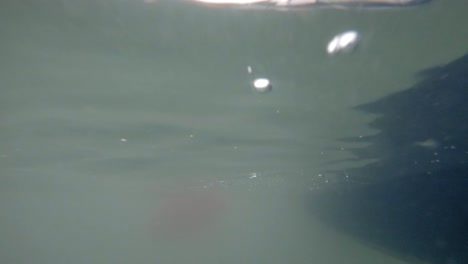 vista submarina de un remo de kayak deslizándose a través de aguas turbias