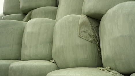 primer plano de bolas de heno verde envueltas en plástico