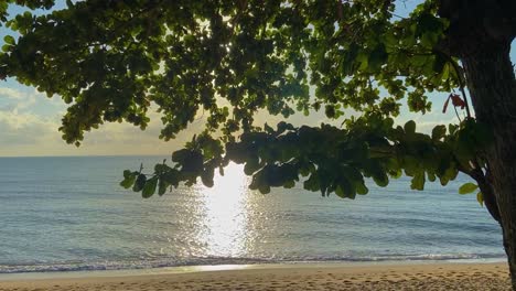 Toma-Deslizante-Suave-De-La-Idílica-Y-Relajante-Costa-Tropical-Al-Amanecer,-Con-Olas-Que-Lamen-Suavemente-Bajo-Un-Cielo-Azul-Y-Dorado-Y-Con-El-Sol-Brillando-A-Través-Del-Follaje-De-Un-árbol