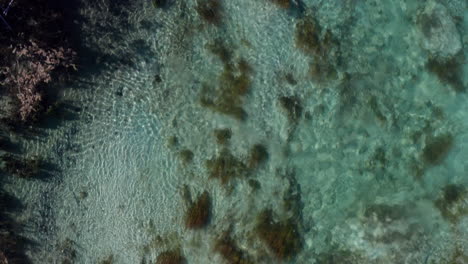 Toma-Aérea-De-Arriba-Hacia-Abajo-Del-Río-Tropical-Que-Fluye-En-Bacalar-México