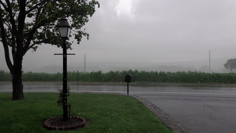 a strong wind and heavy rain during a summer thunderstorm