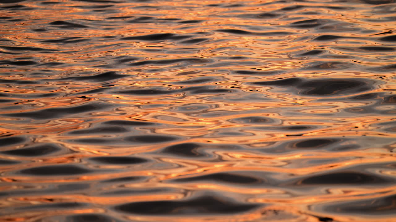 Golden sunlight dances on the calm water's surface, creating beautiful reflections at dusk. Reflection of sunset on water waves