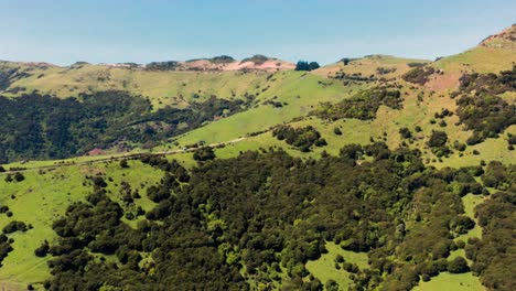 Sonne,-Europa,-Bäume,-Wald,-Gelb,-Oben,-Natürlich,-Stamm,-Fahrbahn,-Landschaft,-Auto,-Asphalt,-Weg,-Transport,-Sommer,-Berg,-Jahreszeit,-Wanderweg,-Park,-Landschaft,-Bunt,-Reise,-Herbst