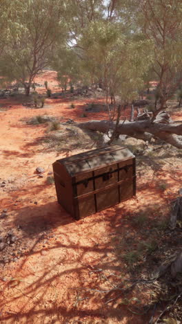 old wooden chest found in the australian outback