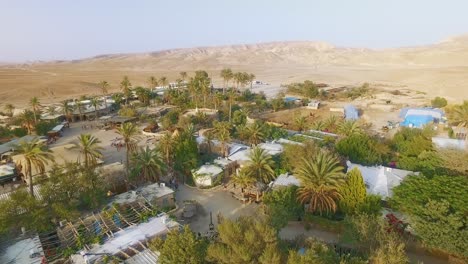 palm trees village in the desert mountains