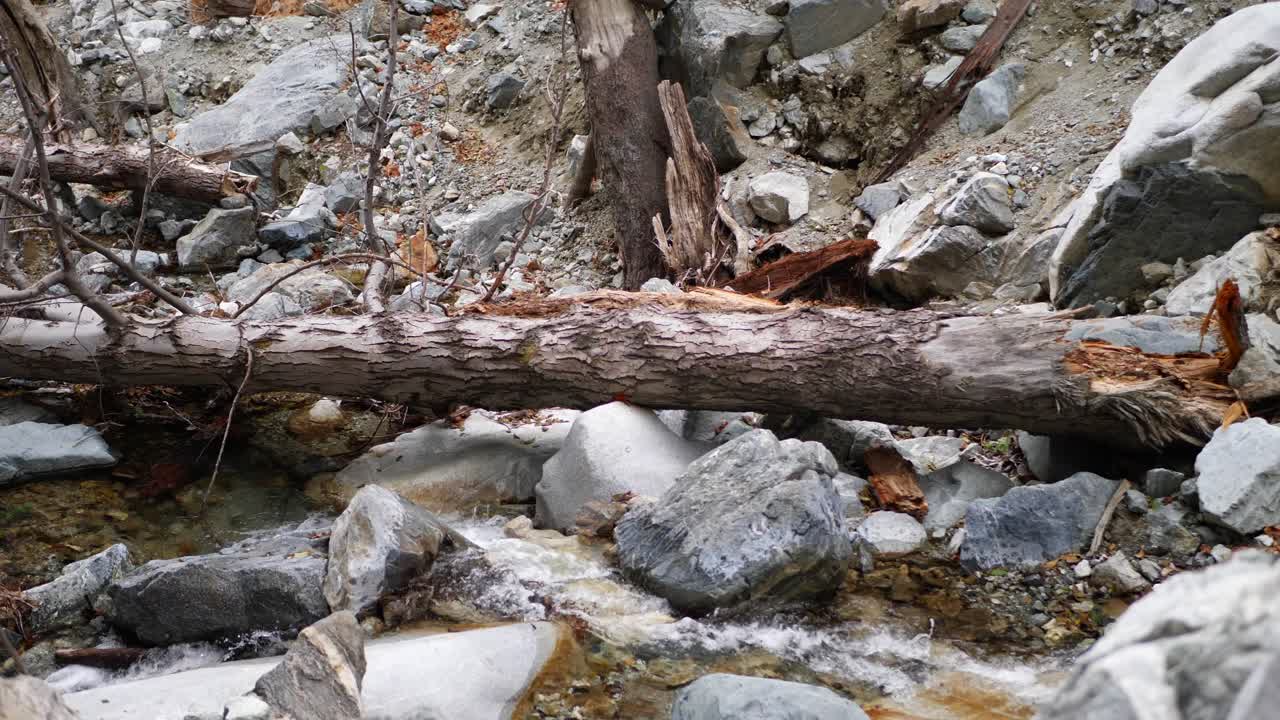 A river or creek flowing through a canyon in the San Gabriel mountains of California