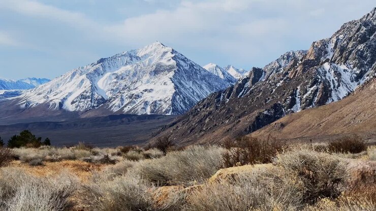 Snow covered Mount Tom Mt Thompson prominent towering peak West Bishop California aerial drone tall grass wind morning winter mountain Sierra Nevada Range Big pine rocky desert round valley right slid