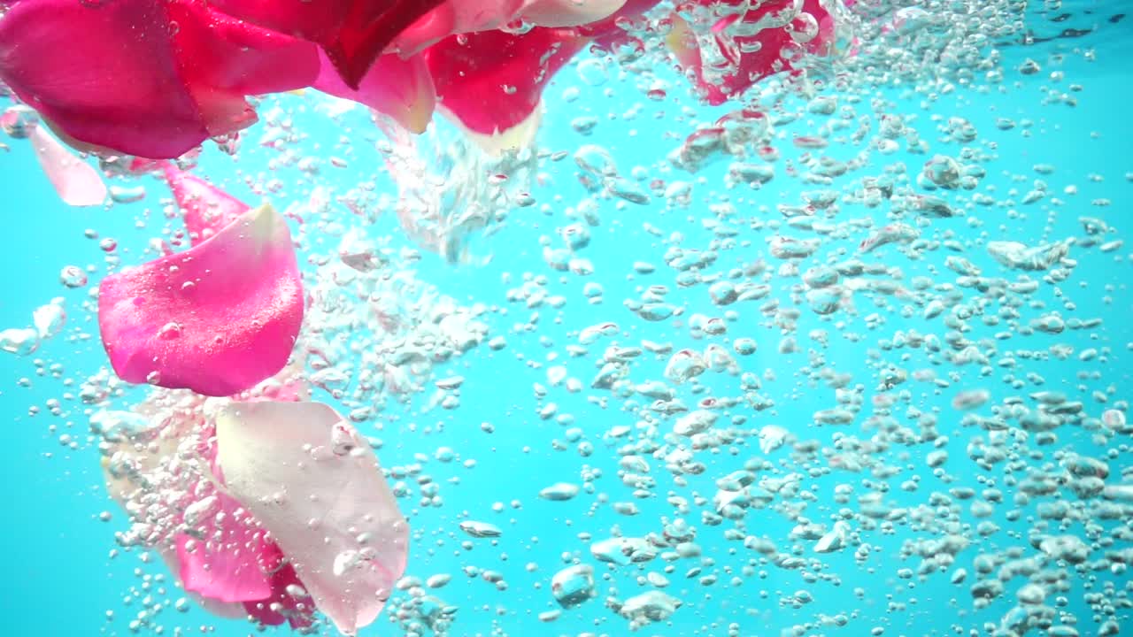 Petali di rose cadono nell'acqua. Sfondo. Movimento rallentato.