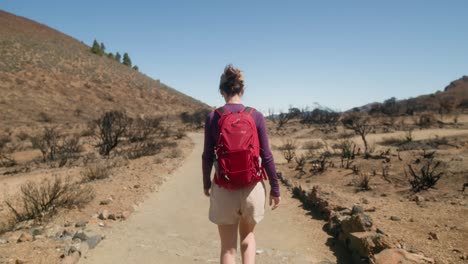 Una-Joven-Lleva-Un-Estilo-De-Vida-Saludable-Y-Camina-Por-Un-Sendero-De-Montaña,-Admirando-El-Paisaje-Desértico