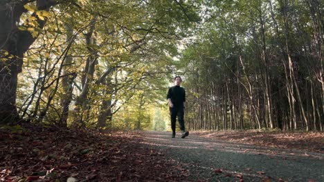 man walking down a tree-lined path in autumn, with sunlight filtering through the leaves, creating a romantic and serene atmosphere. fall