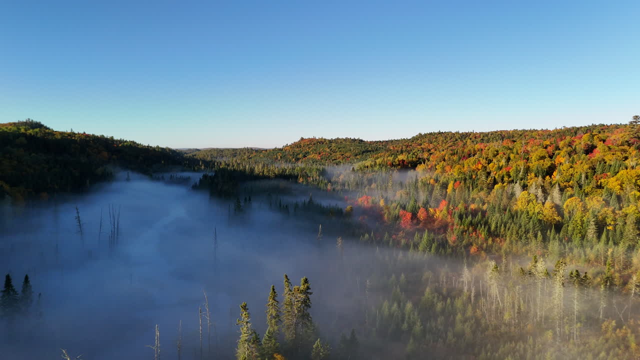 Aerial view of autumn forest and mountains in vivid colors with morning fog in Mauricie, Quebec, Canada. Soft sunlight illuminates the colorful foliage over peaceful wilderness