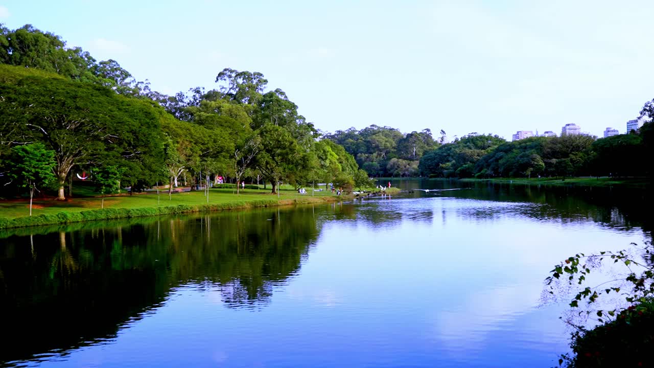 established shot of ibera lake in Sao paulo Brazilian  metropolitan city sunny day in urban park