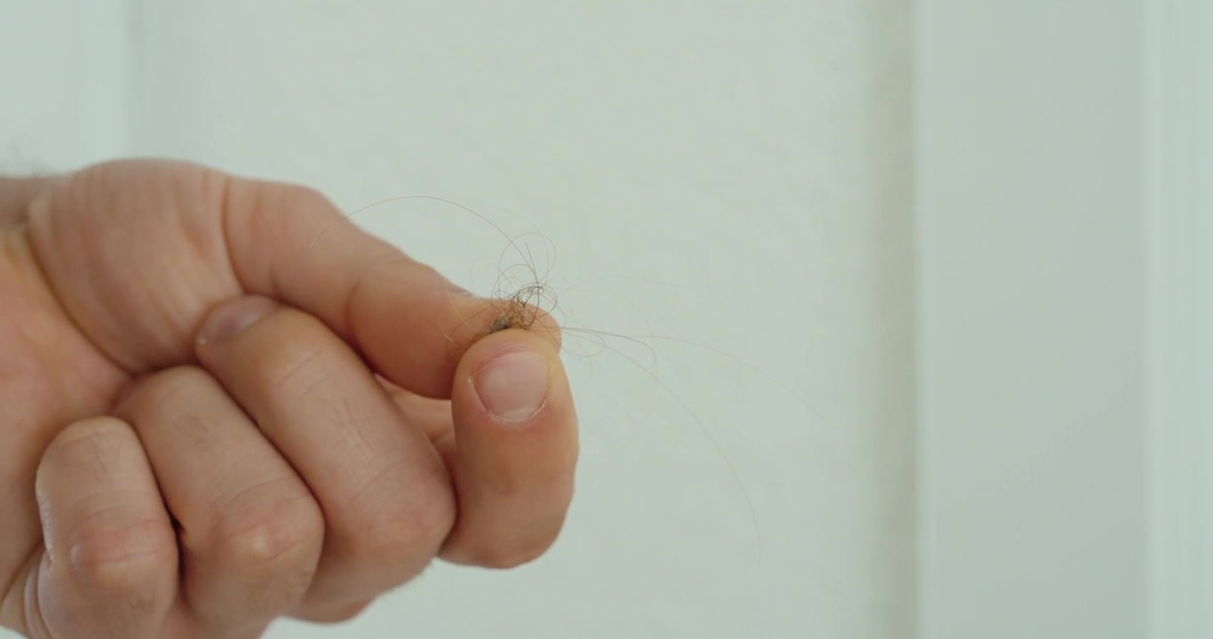Close-up shot of a person holding a small hair clump between fingers, representing hair loss, shedding, alopecia, stress, aging, scalp health, grooming concerns, and personal care.