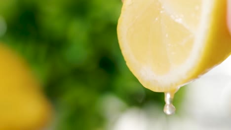 close-up of half lemon squeezed realeasing fresh lemon juice, slow motion shot