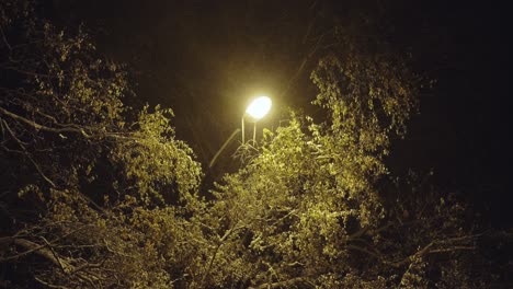 Concepto-De-Ahorro-De-Energía-Con-Luz-De-Calle-En-Una-Noche-Oscura-En-El-Parque