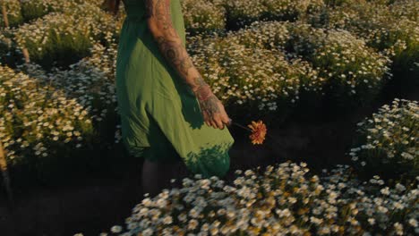 woman in a green dress walking through a field of flowers at sunset