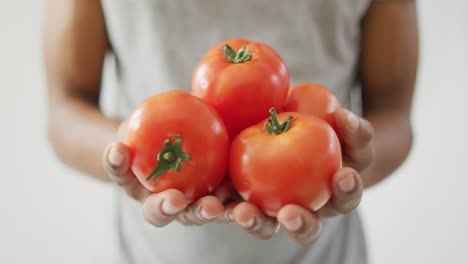 Video-of-biracial-man-holding-fresh-red-tomatoes