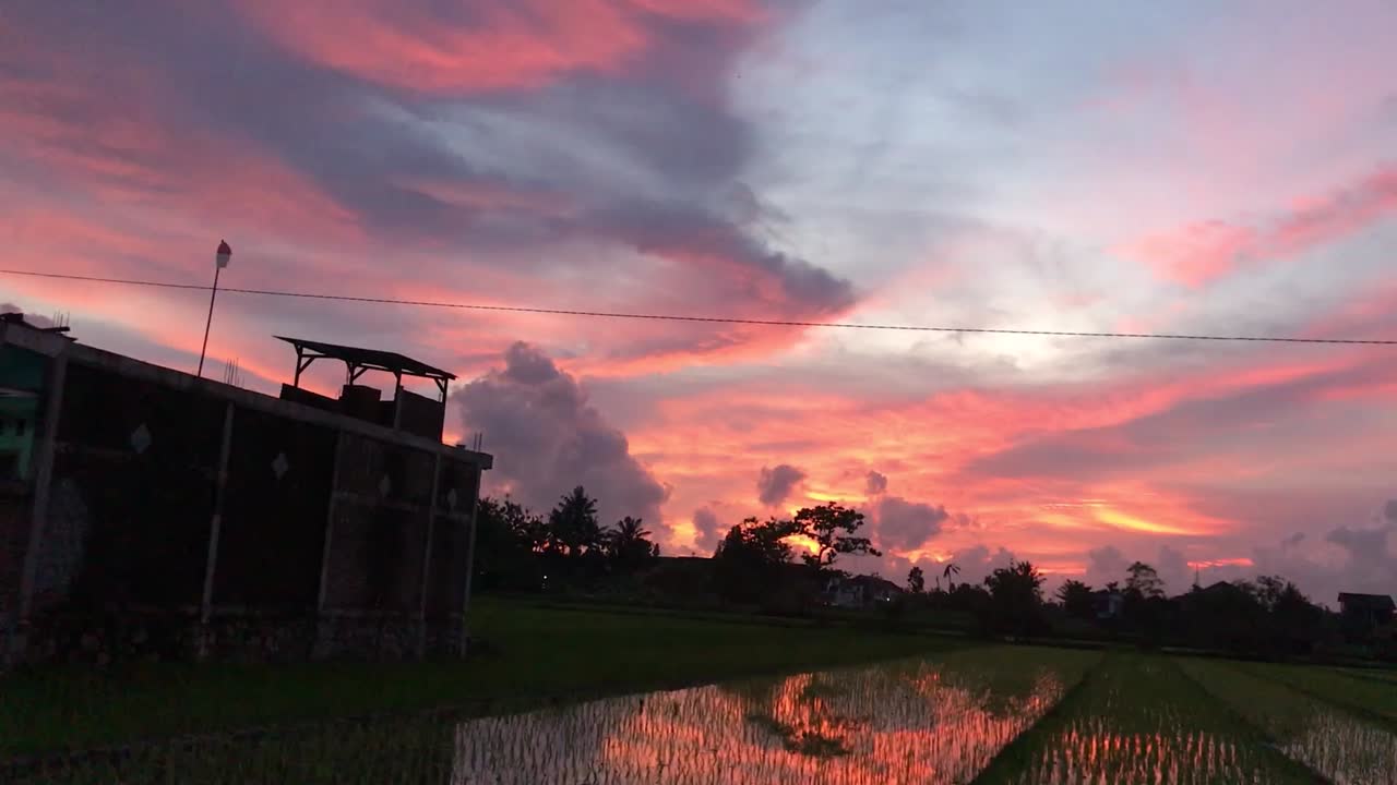 Beautiful calming and relaxing sunset in the ricefield