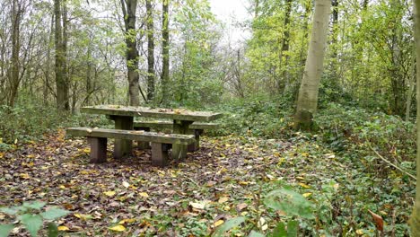 Picknicktisch-Aus-Holz-Im-Herbstwald,-Der-Mit-Saisonalen-Landschaftsblättern-Bedeckt-Ist,-Laub-Weit-Links-Dolly