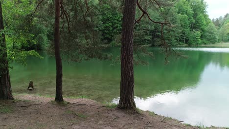 medio del bosque, nunca he visto un lago verde