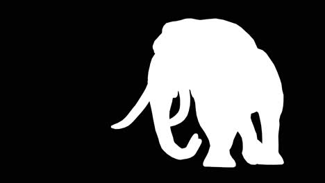 an elephant walking on black background with alpha channel included at the end of the video, 3d animation, perspective view, animated animals, seamless loop animation