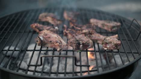 cooking lamb chops over an open fire bbq