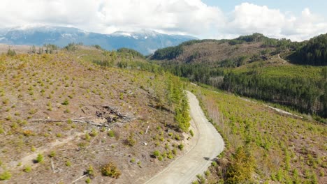 cortes en los bosques del noroeste del pacífico en columbia británica canadá