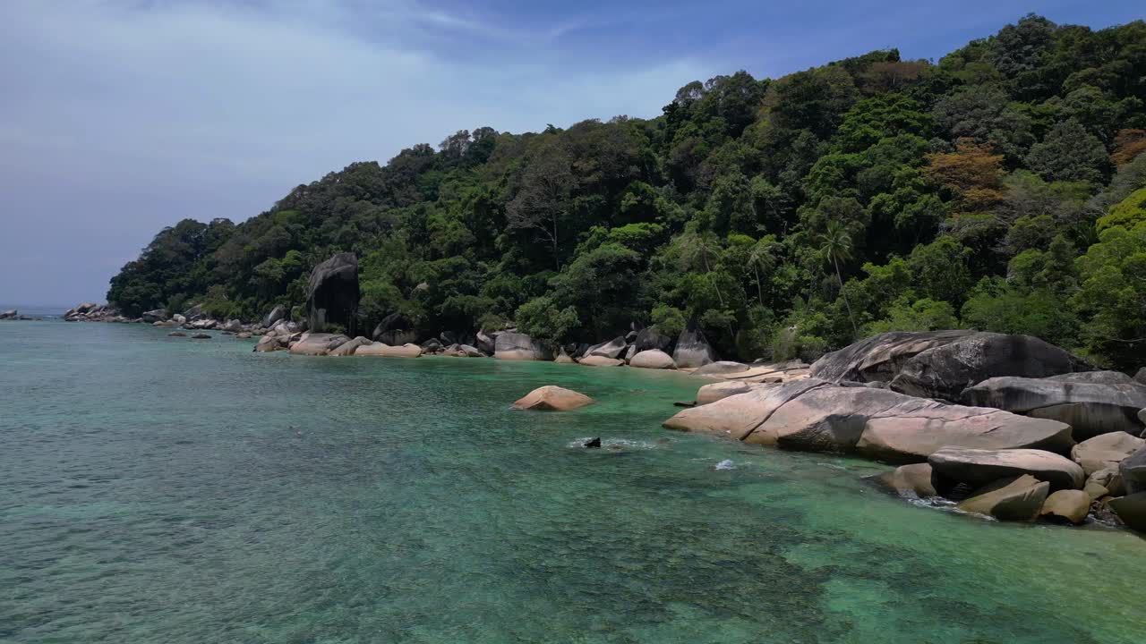 Seychelles beach palm trees smooth rocks
