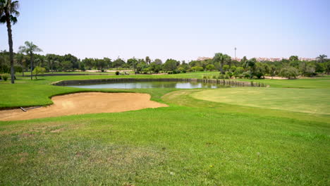 a beautiful golf course with green grass, trees, lake and feather grass on a sunny day