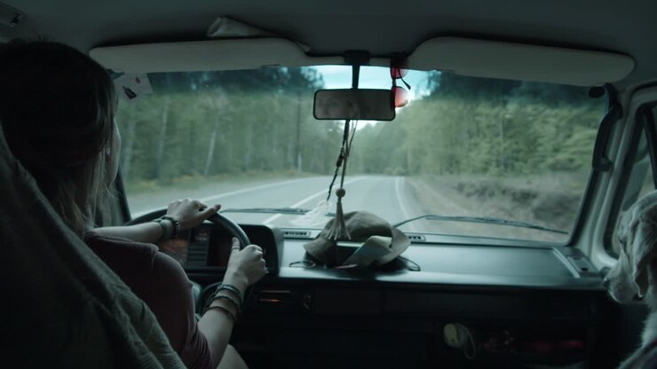 Woman Traveling in Van with Dog