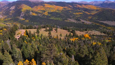 aerial tilt up reveal view of valley covered in aspen trees and spruce forest