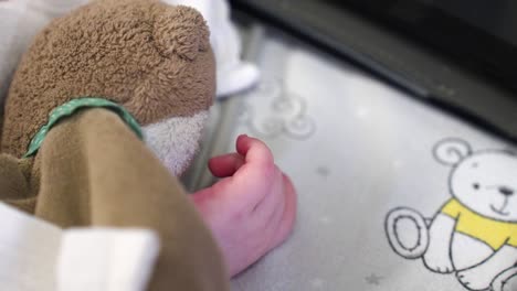 baby's hand holding a teddy toy